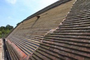 Roof Repairs in Stamford Hill